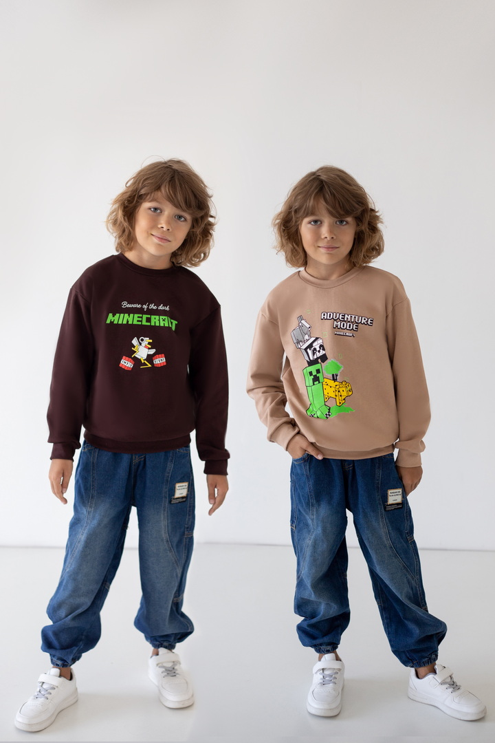 Комплект для хлопчиків з 2-х світшотів